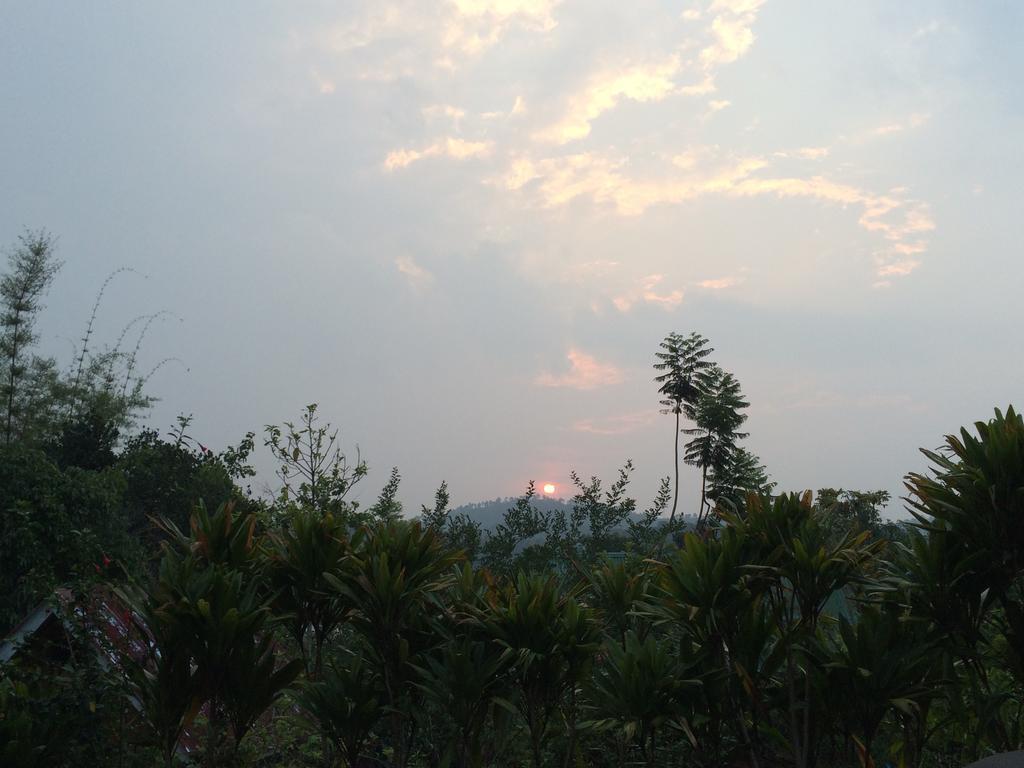 Nature Land 호텔 칼로 객실 사진